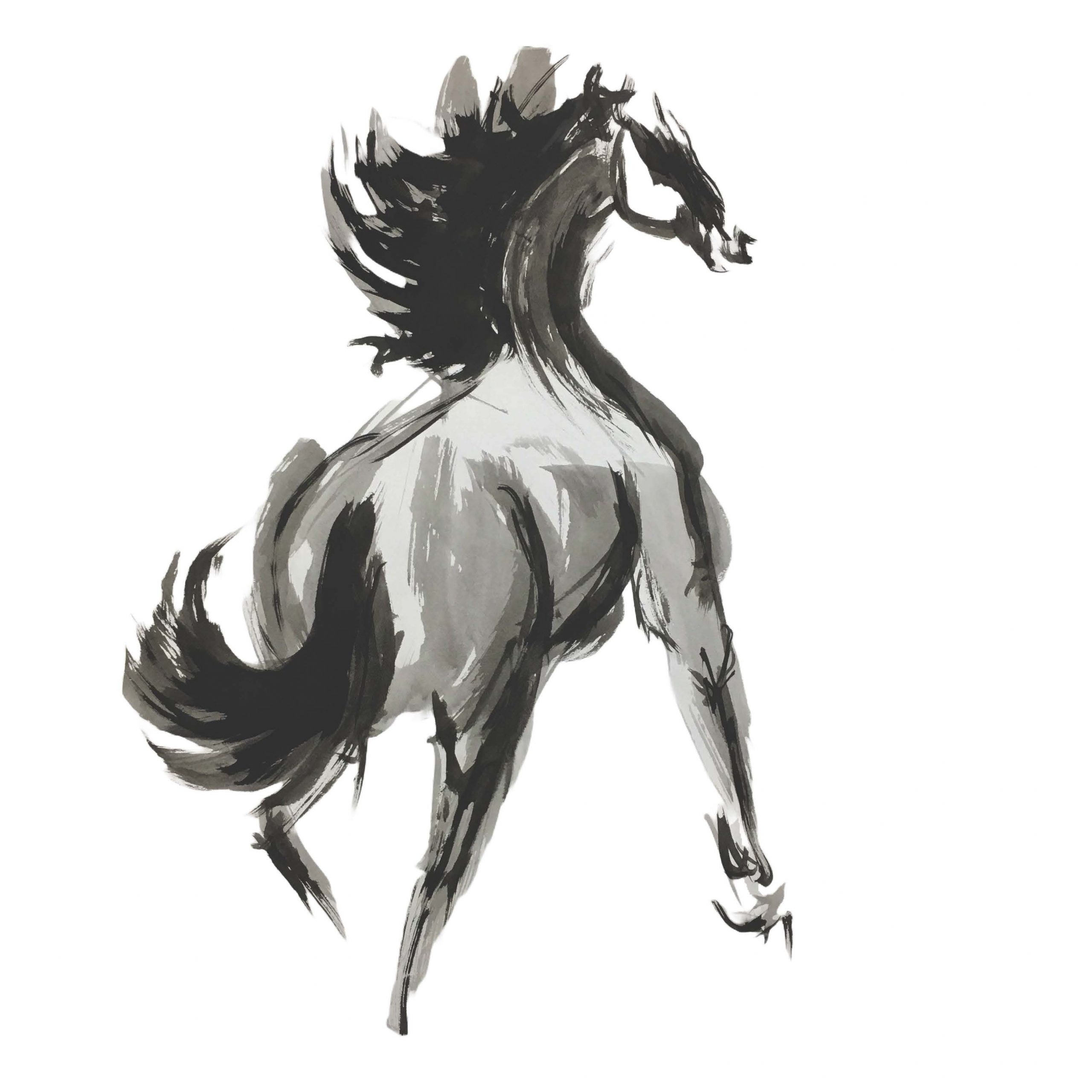 Stable Mind and Wellness